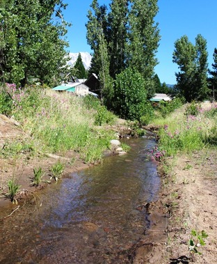 Panther Creek, 7-12-2017 117