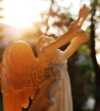 44 doc. Morning sun, Jesus, Quin, & Angel 8-4-2018 313