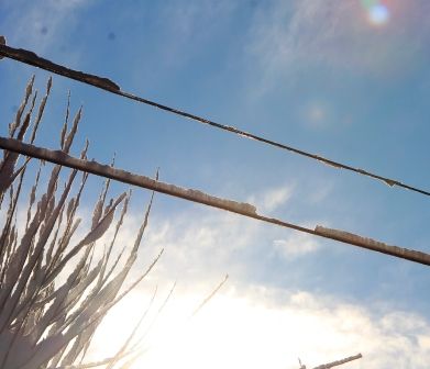 Sunrise, 49 web, 1-23-'12, IMG_3109