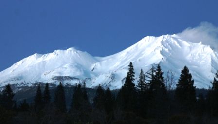 Shasta, 2 web, 1-26-'12, IMG_3441