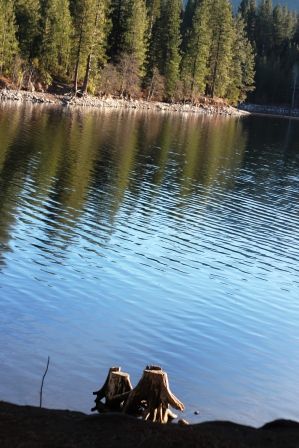 Lake Siskyou, Z web, 1-04-'12, IMG_8601