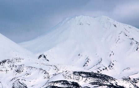 Shasta, 2 web, 1-29-'12, IMG_5375
