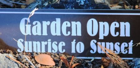 Peace Garden, 3 web, 12-1-'11, IMG_3152