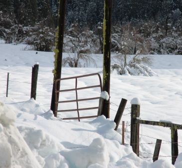 19 web, 1-21-'12, IMG_2349