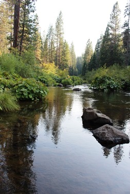 McCloud River, 9-8-2016 046