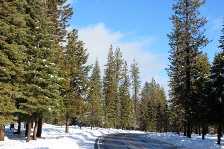 Squaw Valley Rd, 33 wb, 1-21-'12, IMG_2437