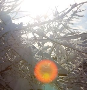 Sunrise, 48 web, 1-23-'12, IMG_3108