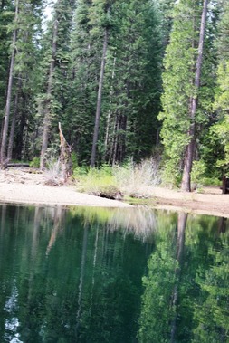 1 doc. McCloud River, 5-1-2018 078