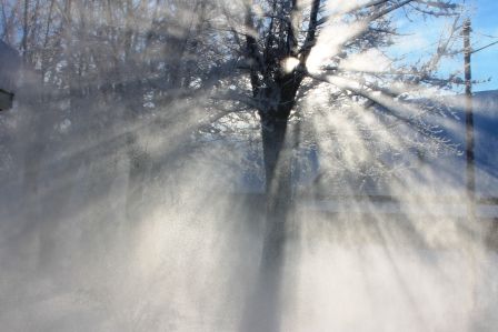 Sunrise, 3 web, 1-23-'12, IMG_3172
