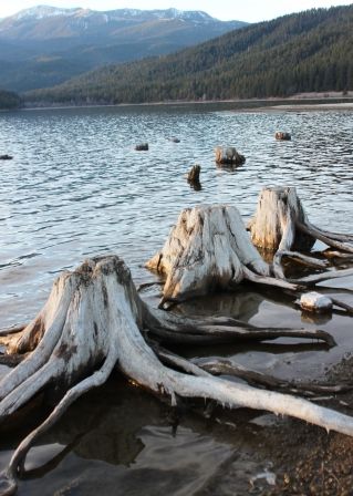 Lake Siskiyou, 47 web, 1-04-'12, IMG_8864