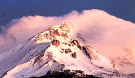 Shasta, 2 web, 2-2-'12, IMG_5973