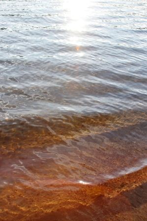 lake Siskiyou, 33 web, 1-04-'12, IMG_8800