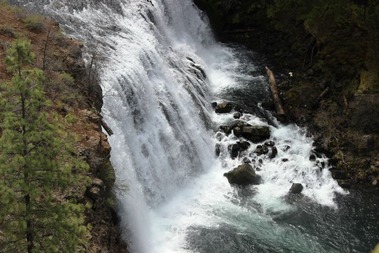 8 doc. McCloud River, 5-1-2018 211