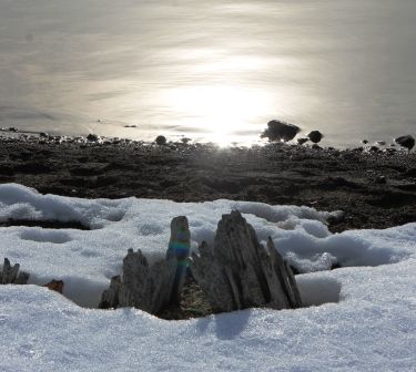 Lake Siskyou, 12 web, 1-28-'12, IMG_4295