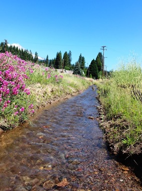 Panther Creek, 7-12-2017 142