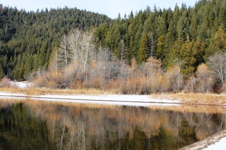 Lake Siskiyou, 26 web, 1-28-'12, IMG_4391