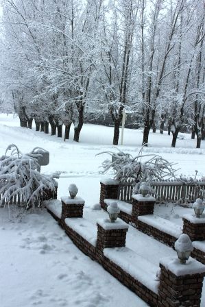 Snow, 31 web, 1-19-'12, IMG_1466