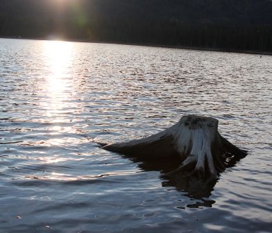 Lake Siskiyou, 46 web, 1-04-'12, IMG_8860