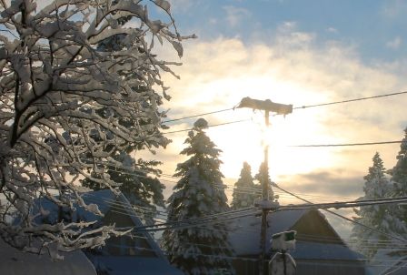 Sunshine 30 web, 1-23-'12, IMG_2929