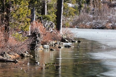 Castle Lake, 22 web, 1-12-'12, IMG_0106