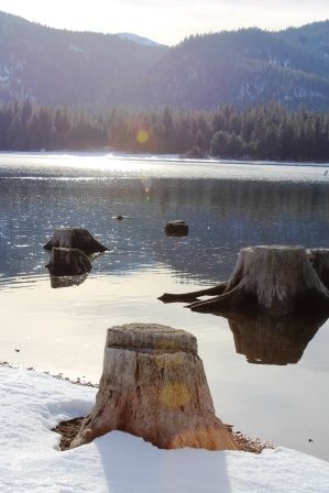 Lake Siskyou, 70 web, 1-28-'12, IMG_4559