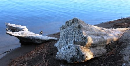 Lake Siskyou, 23 web, 1-04-'12, IMG_8744
