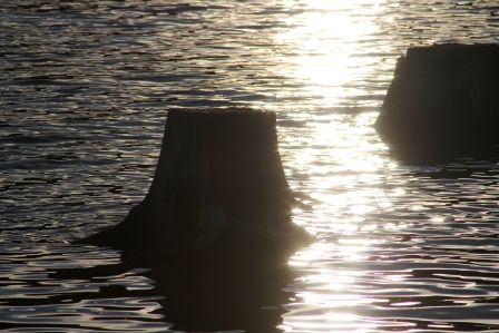 Lake Siskyou, 16 web, 1-04-'12, IMG_8921