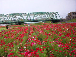 SBSH0034