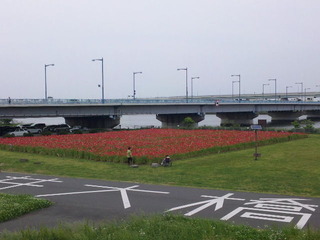 SBSH0042