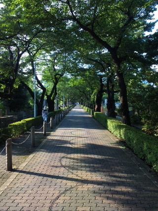 SBSH0001