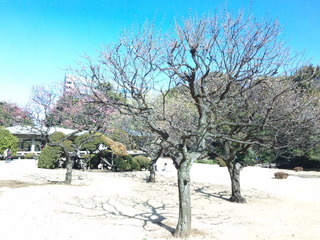 SBSH0018