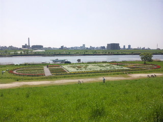 SBSH0015