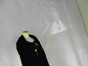 P9050020(加工済)