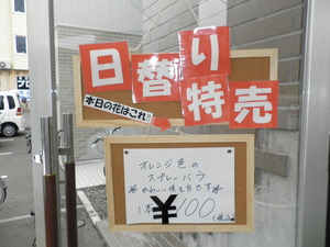 P8010041