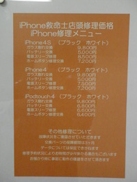 PA110062