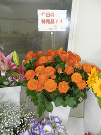 P8010043