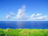 ¤³¤Î·Ê¿§¤Ï¤¤¤Ä¤âÊѤï¤é¤º¹¤¬¤Ã¤Æ¤¤¤¿¡£