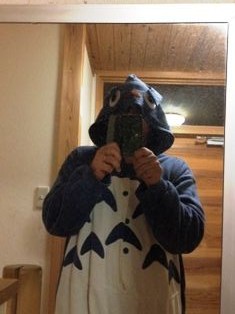 totoro