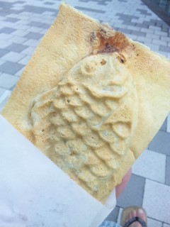東京都文京区江戸川橋駅徒歩1分ブラジリアン柔術道場 ストライプル早稲田柔術アカデミー☆ヒルマ道場