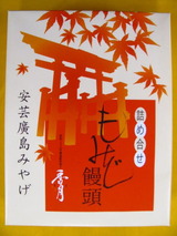 東京都文京区江戸川橋駅ブラジリアン柔術道場 ストライプル早稲田柔術アカデミー☆ヒルマ道場