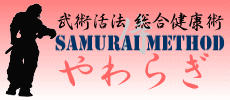 東京都文京区江戸川橋駅ブラジリアン柔術道場 ストライプル早稲田柔術アカデミー☆ヒルマ道場:『サムライメソッドやわらぎ』とは?