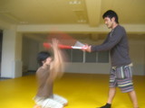 shinkenshirahadori