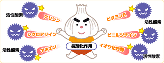 東京都文京区江戸川橋駅徒歩1分ブラジリアン柔術道場 ストライプル早稲田柔術アカデミー☆ヒルマ道場