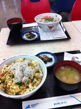 shirasu