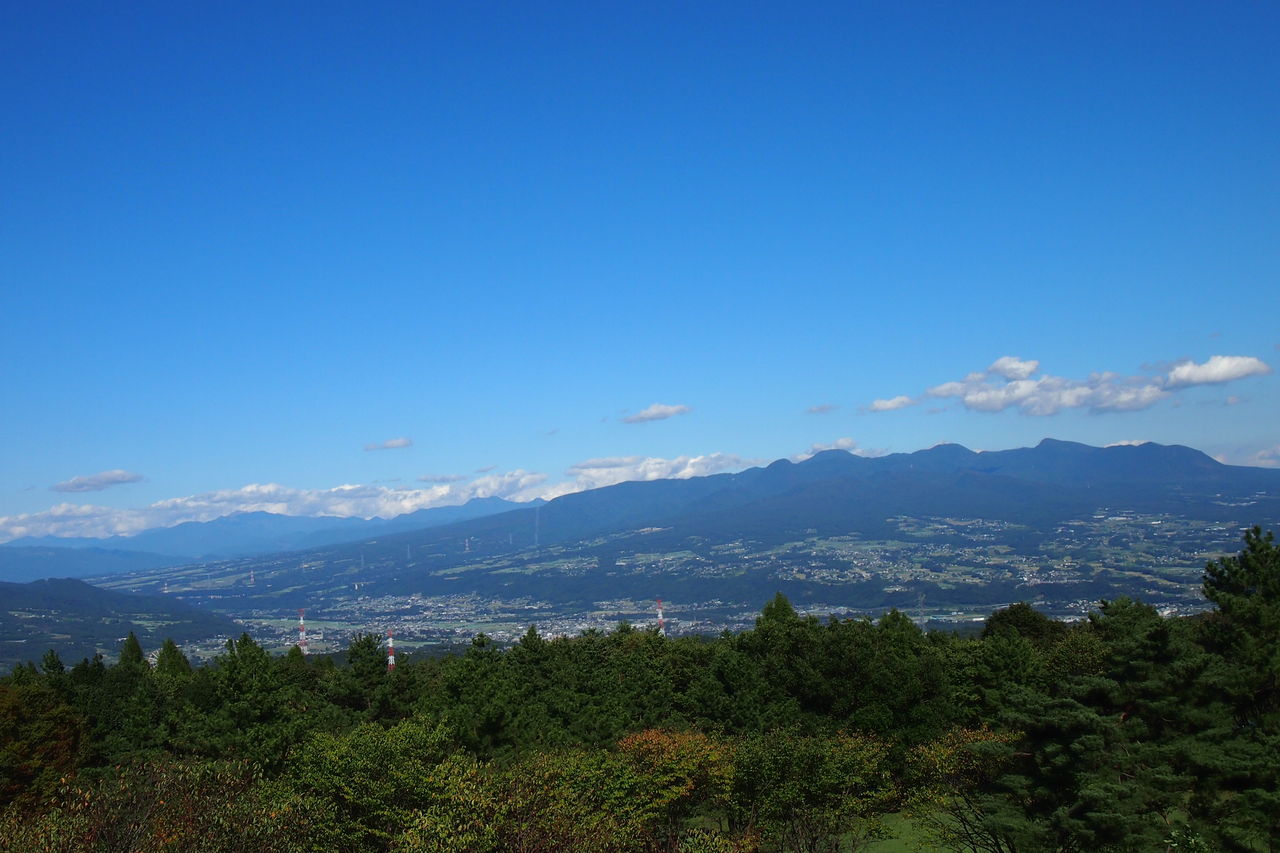 もっと・・・ の掲示板投稿写真＆画像