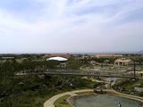200605062