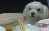 tako5