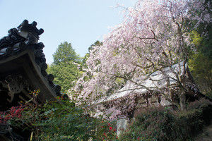 Dsc03259 Dsc03259