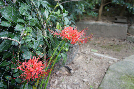 Dsc03943 Dsc03943