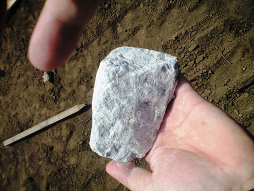 35153d83.jpg